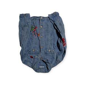 Vintage Dex Girls Denim Overalls with Floral and Ladybug Embroidery, Size L